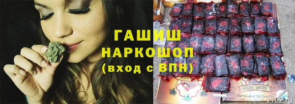 хмурый Арсеньев