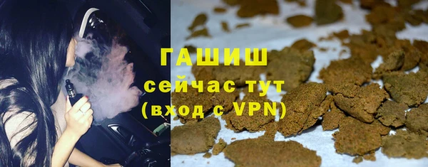хмурый Арсеньев