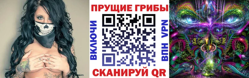 Галлюциногенные грибы прущие грибы  Купить где  Карачаевск 